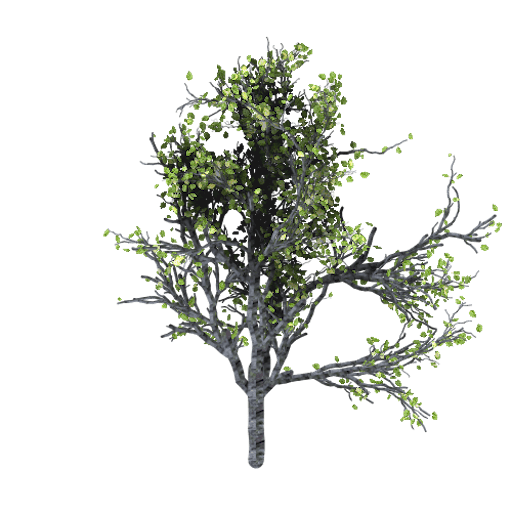 treeImg